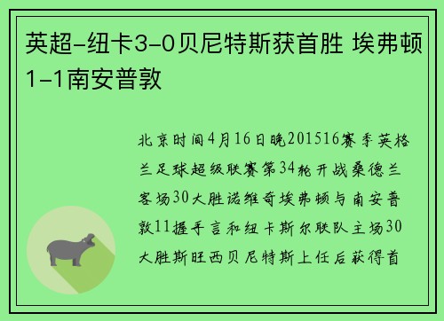 英超-纽卡3-0贝尼特斯获首胜 埃弗顿1-1南安普敦